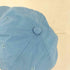 ノースフェイスパープルレーベル THE NORTH FACE PURPLE LABEL 65/35 GORE-TEX INFINIUM Cap ゴアテックス キャップ メンズ FREE